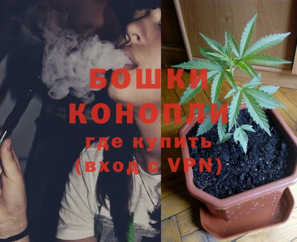 индика Верея