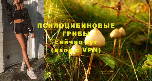 мдма Вяземский