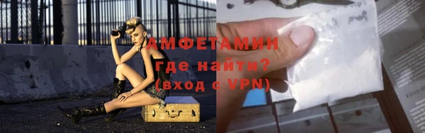 индика Верея