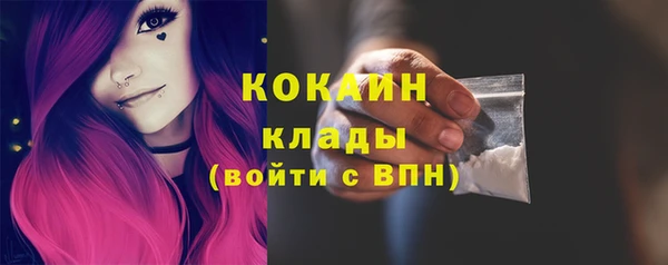 индика Верея