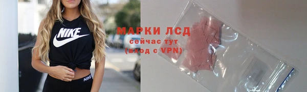 ПСИЛОЦИБИНОВЫЕ ГРИБЫ Вязники