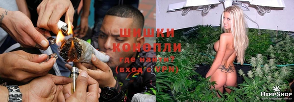 ПСИЛОЦИБИНОВЫЕ ГРИБЫ Вязники