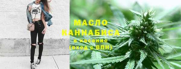 ПСИЛОЦИБИНОВЫЕ ГРИБЫ Вязники