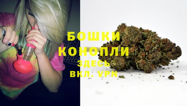 spice Верхний Тагил