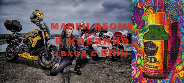индика Верея