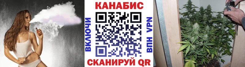Бошки марихуана тримм даркнет сайт мориарти какой сайт Зеленоградск kraken как зайти
